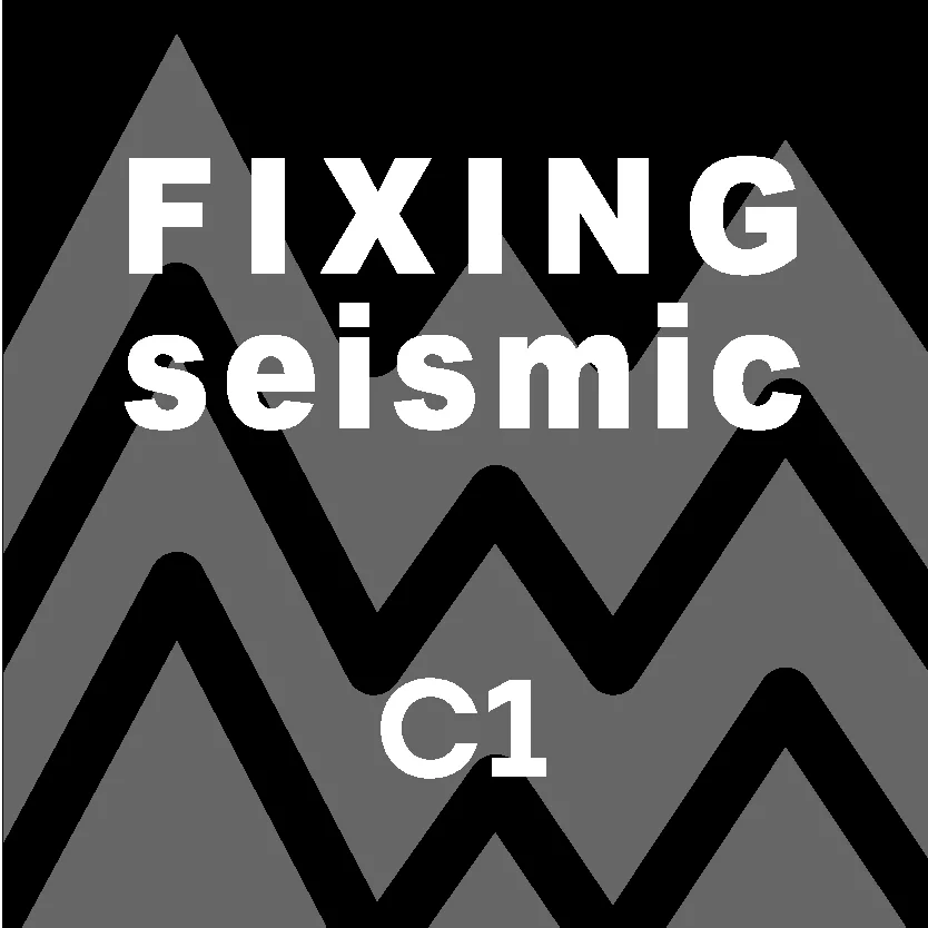 Seismic C1 Erdbeebensicher Icon